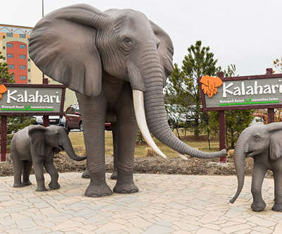 Mom and her baby elephants, the statues outside kalahari resort and conventions